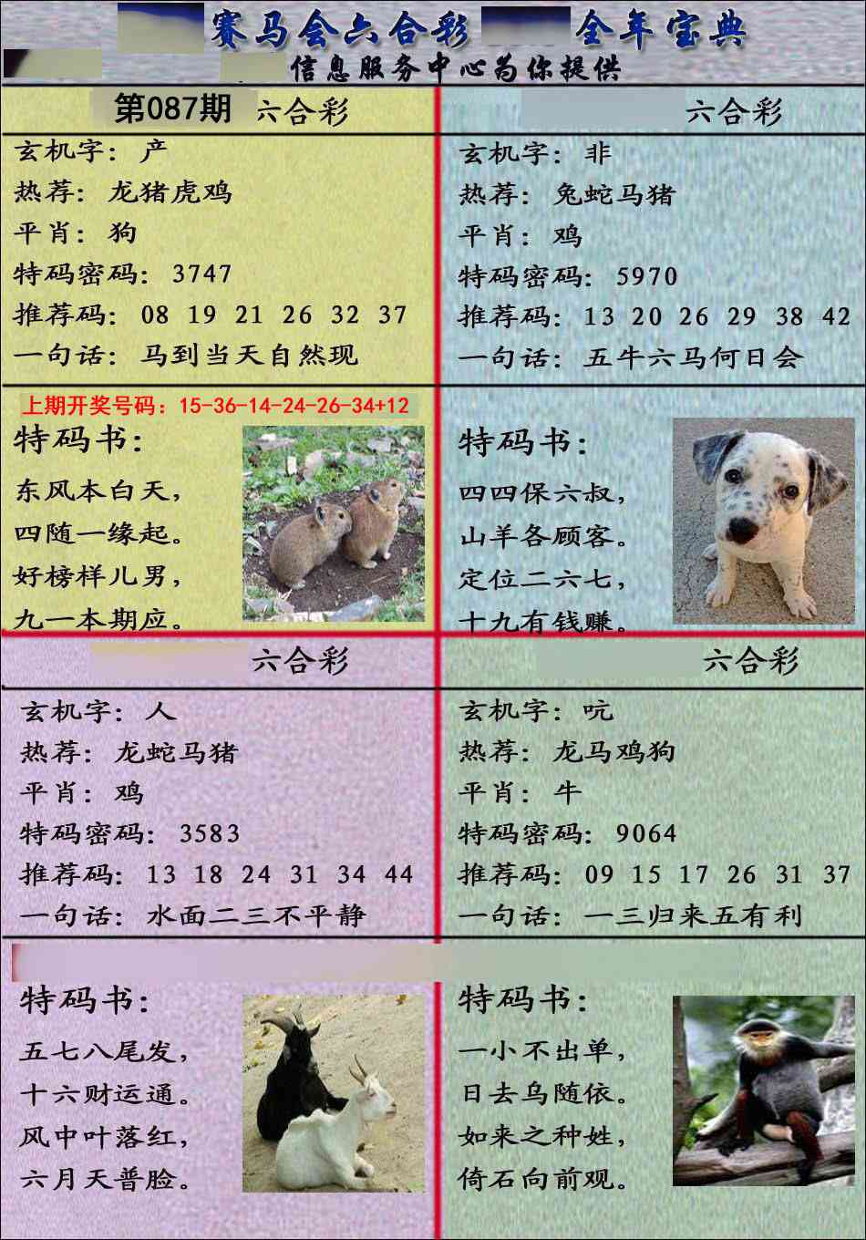 087期宝典报[图]